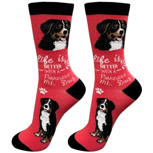 Life Is Better With A Bernese Mt. Dog Socks